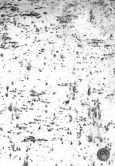 Scratch Texture . Scratch Background .