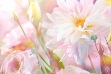 Photo sur Aluminium Fleurs Fond de fleur de pivoine