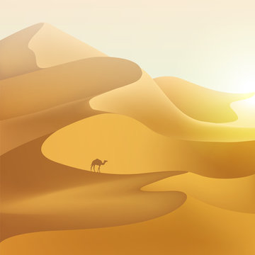Desert dunes landscape.