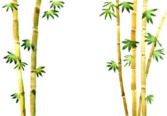 watercolor bamboo background