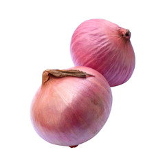 red onion on white background vegetables thailand 10