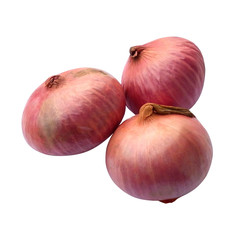 red onion on white background vegetables thailand 26