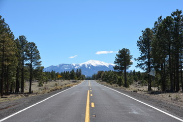 Fototapeta premium Landschaft in Amerika
