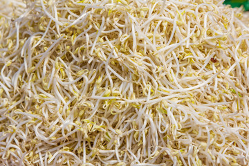bean sprouts