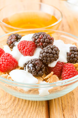 breakfast cereal bowl with berries and yogurt