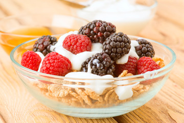 breakfast cereal bowl with berries and yogurt