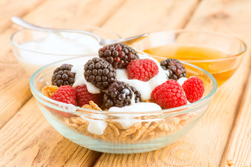 breakfast cereal bowl with berries and yogurt