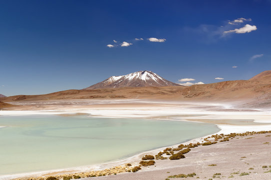 South America, Bolivia expedition