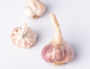Garlic macro close up on white background