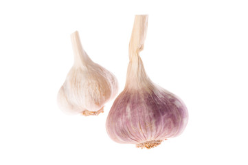 Garlic macro close up isolated on white background