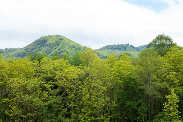 green mountain, scenic of cloudy sky with mountain hill and green forest in Thailand