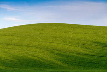 Obraz premium Hills of Tuscany