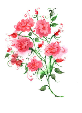 Винтажная декоративная ветка розы акварелью. На изолированном фоне