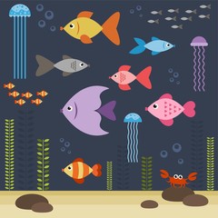 Fototapeta premium underwater world with fishes