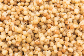 Cooked wheat in grain close up