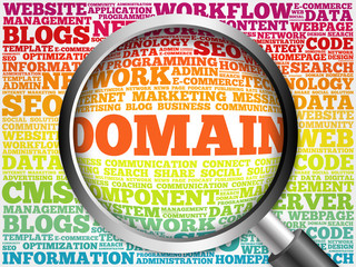DOMAIN word cloud with magnifying glass, business concept