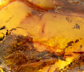 Baltic amber, resin segments,background or texture