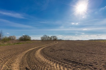 Obraz premium Spring plowed field under blue sky with clouds