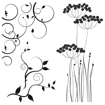 Collection for designers, meadow, plants vector set