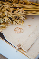 Кольца в ростках пшеницы