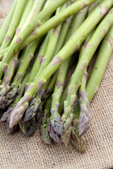 asperges vertes 19042016