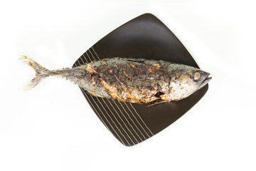 Grilled fish on the plate