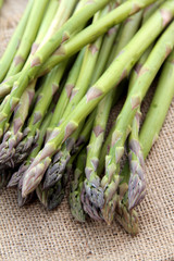 asperges vertes 19042016