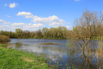 spring scene on lake