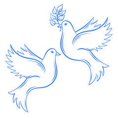 Vector Doves. Hand drawn Dove of Peace illustration and dove wit