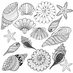 Vector set Shells, zentangle seashells for adult anti stress Col