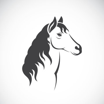 Vector image of an horse haed design on white background