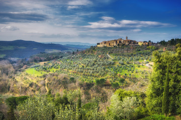 Fototapeta na wymiar Ancient town on a hill with olive trees, Castelmuzio.
