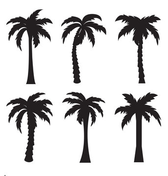 Black palm icon