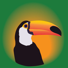 Head of a Toucan on a green background © Dobrydnev