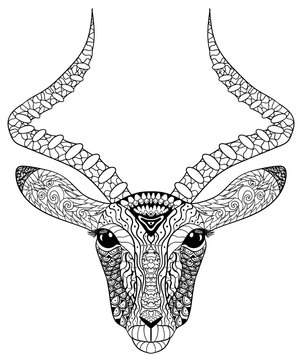 Adult coloring page for antistress art therapy. 