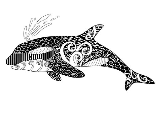 Killer whale with high details. 