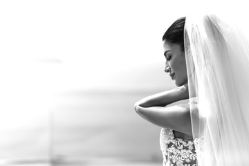 Fototapeta na wymiar Portrait of beautiful luxury bride in veil b&w
