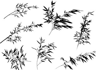 Obraz premium seven bamboo black branches set illustration