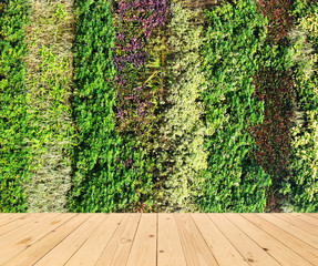 flower wall vertical garden and wood floor