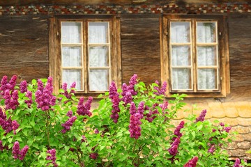 Fototapeta na wymiar Flowers and rustic windows on old wooden house, vintage