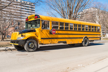 Naklejka na ściany i meble Yellow school bus in America