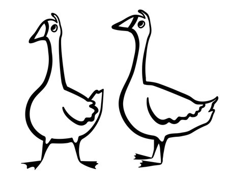 Cartoon goose. Isolated object for design element.