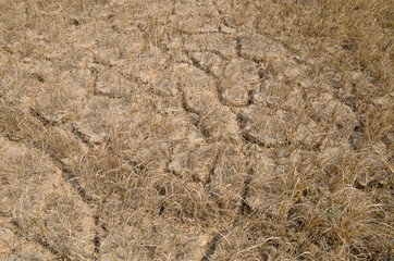 Dry land