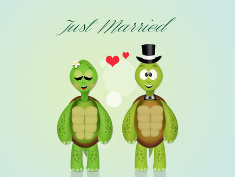wedding of turtles
