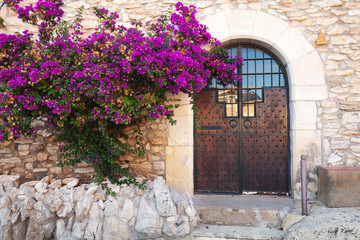 Fototapeta na wymiar Stone wall with closed wooden door and flowers