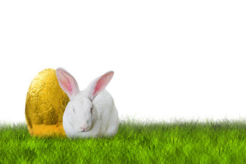 Easter bunny and golden egg