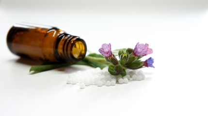 Lungenkraut, Homöopathie, Globuli,  Pulmonaria officinalis
