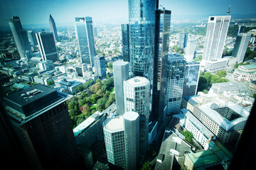 Frankfurt office cityscape
