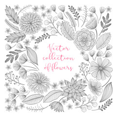 Hand drawn floral collection