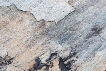 Naklejka premium wood texture 3958